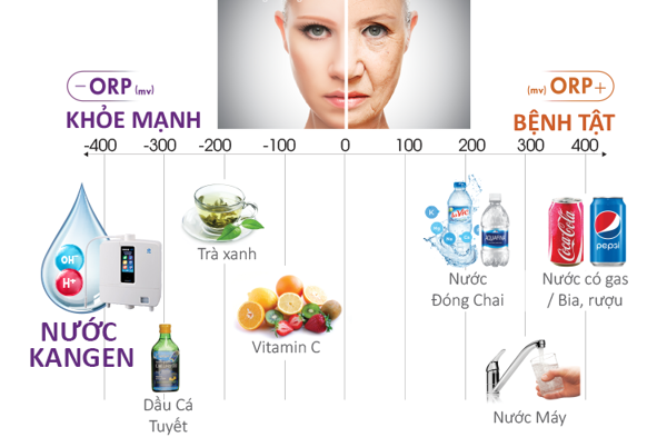 Máy lọc nước kangen K8 chống oxy hóa mạnh