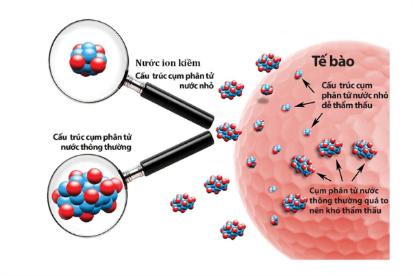 nuoc ion kiem co cum phan tu nuoc nho Nước Kangen có cụm phân tử nước nhỏ